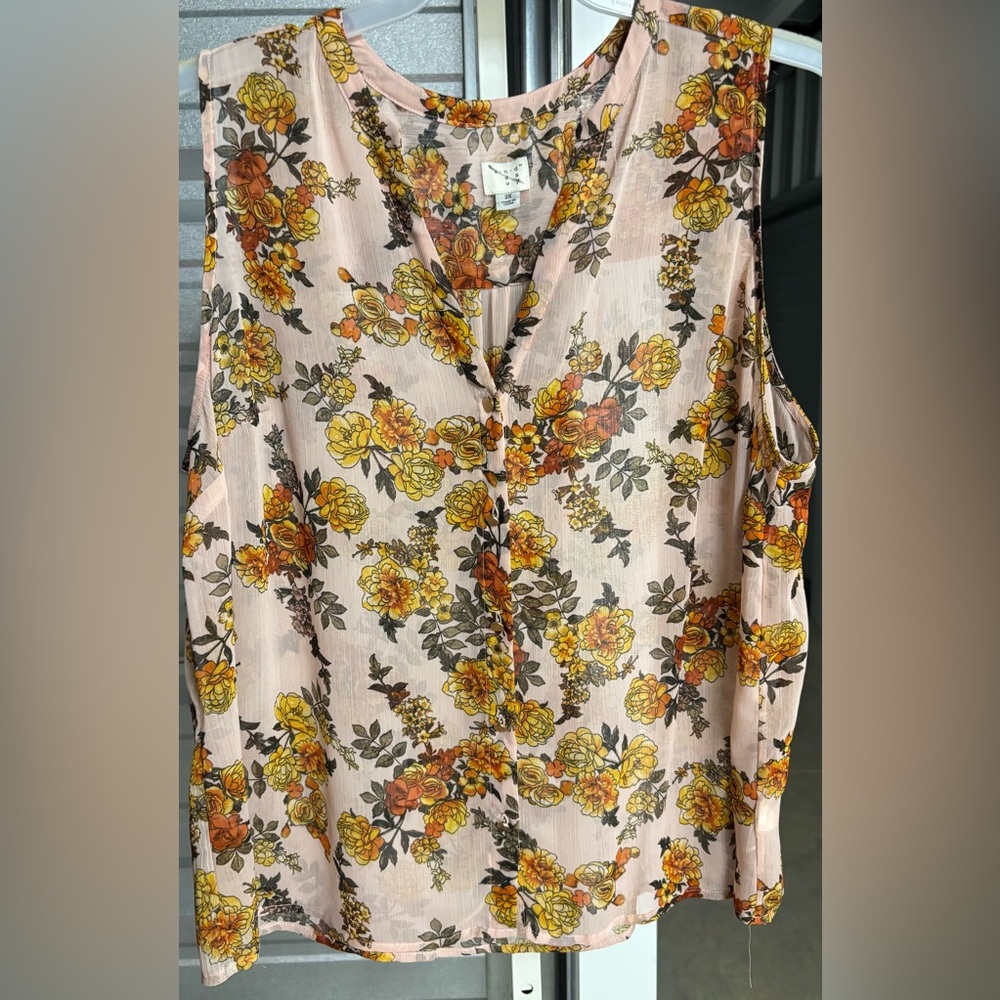 A new day sheer blouse